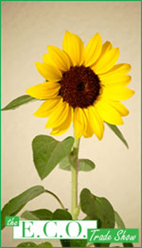 ecosun.jpg