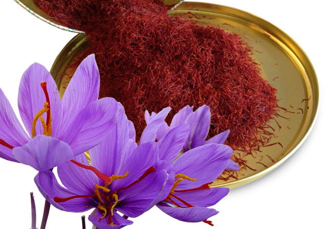 Ayurvedic uses for Saffron