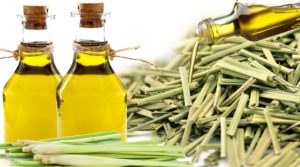 lemongrass-essential-oil