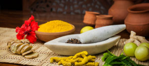 spring ayurveda