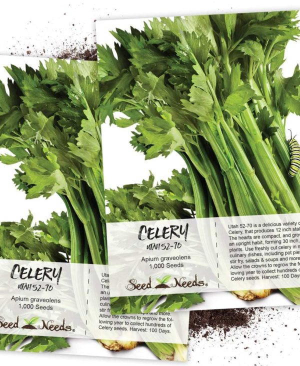 Seed Needs Utah 52-70 Celery