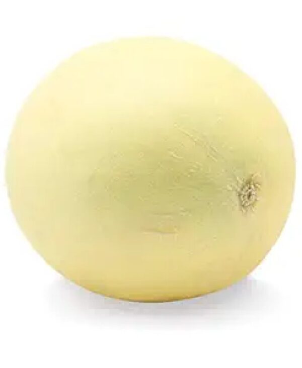 HoneyDew Melon