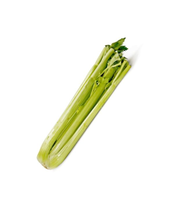 Fresh Celery